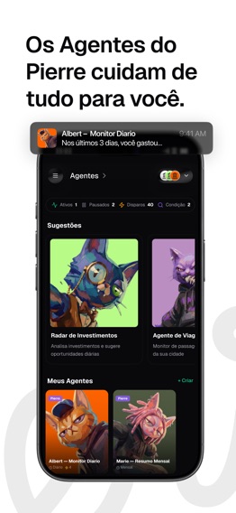 Pierre: Controle de gastos IA — captura 4